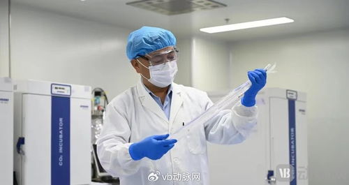 國(guó)產(chǎn)生物型人工血管獲創(chuàng)新通道認(rèn)可，心血管治療迎來(lái)新突破